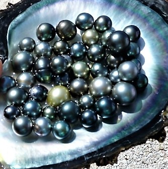 Set 6 paires B.O. OG18K Perles de Tahiti RD Ø 7,5 à 11mm